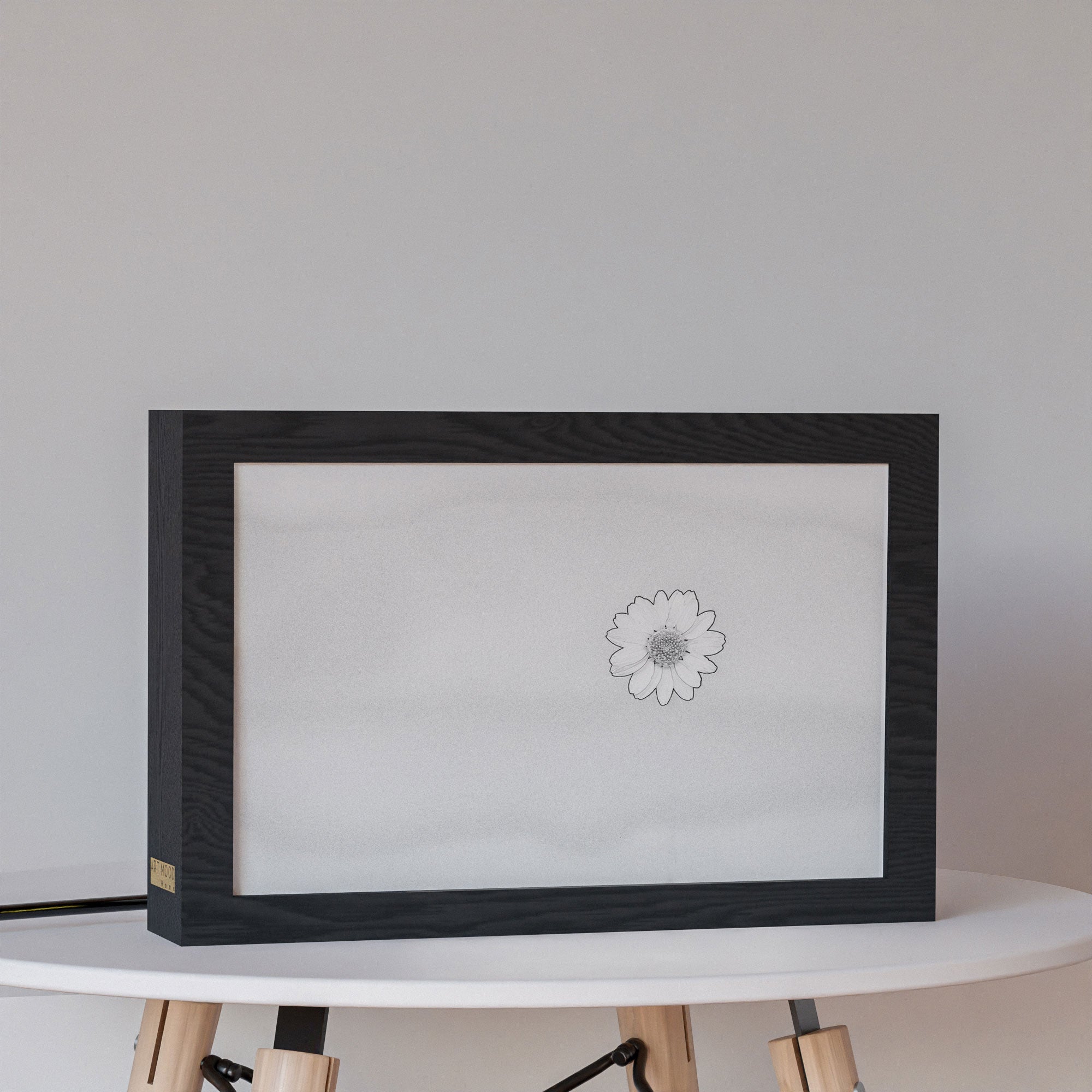 2 in 1 Photo Lighting Frame - Daisy