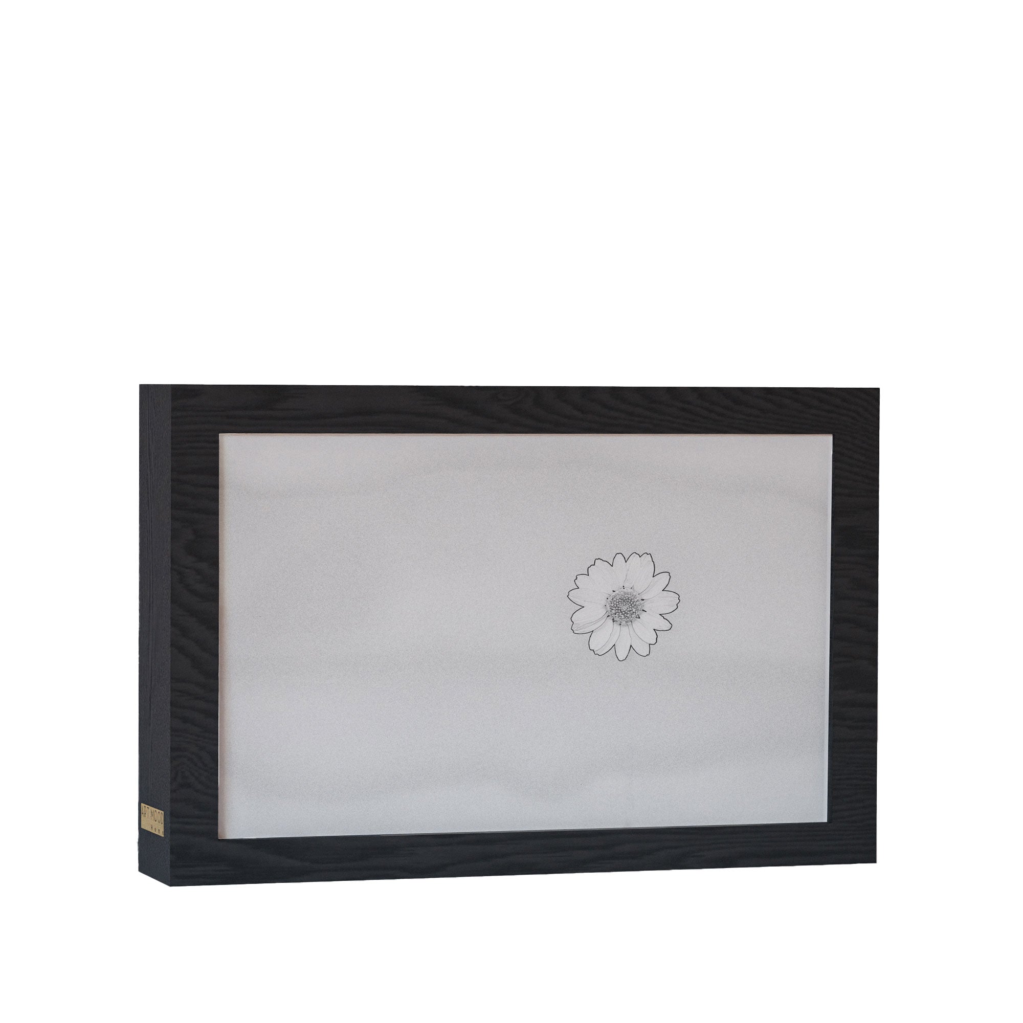 2 in 1 Photo Lighting Frame - Daisy