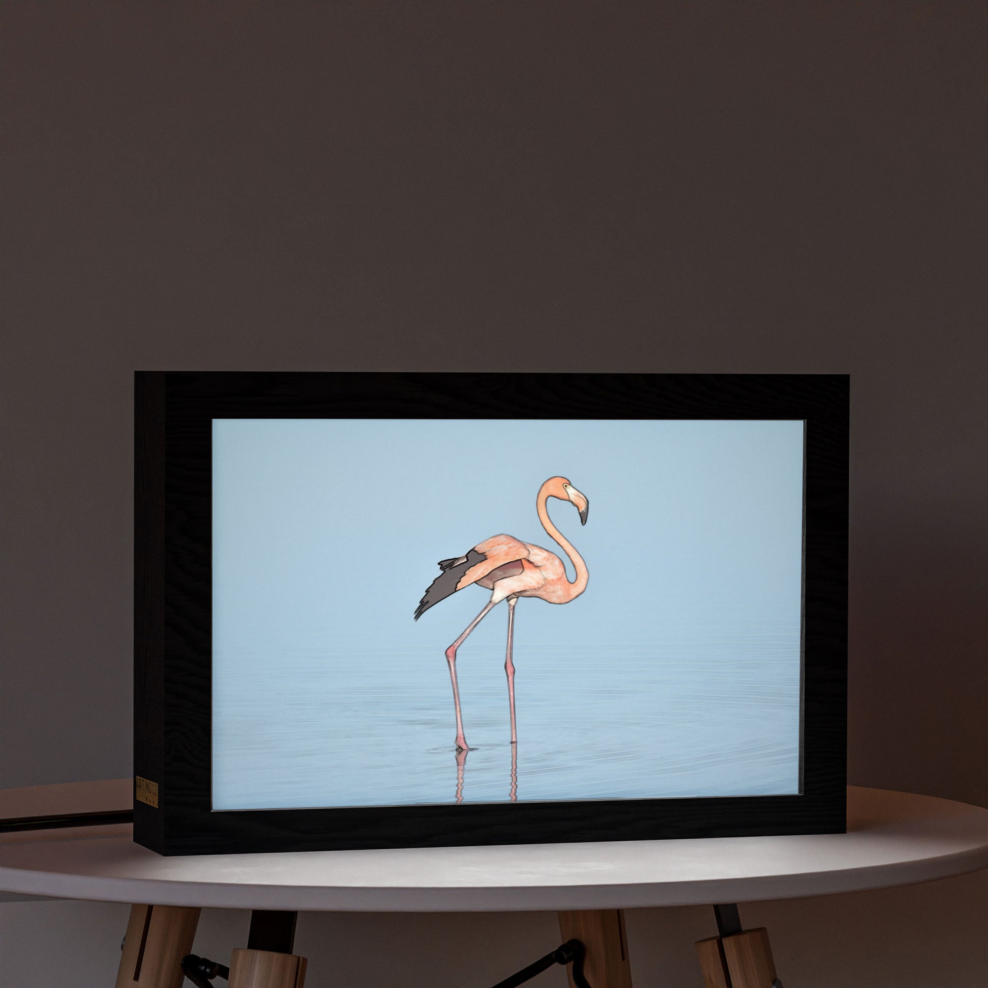 2 in 1 Photo Lighting Frame - Flamingo