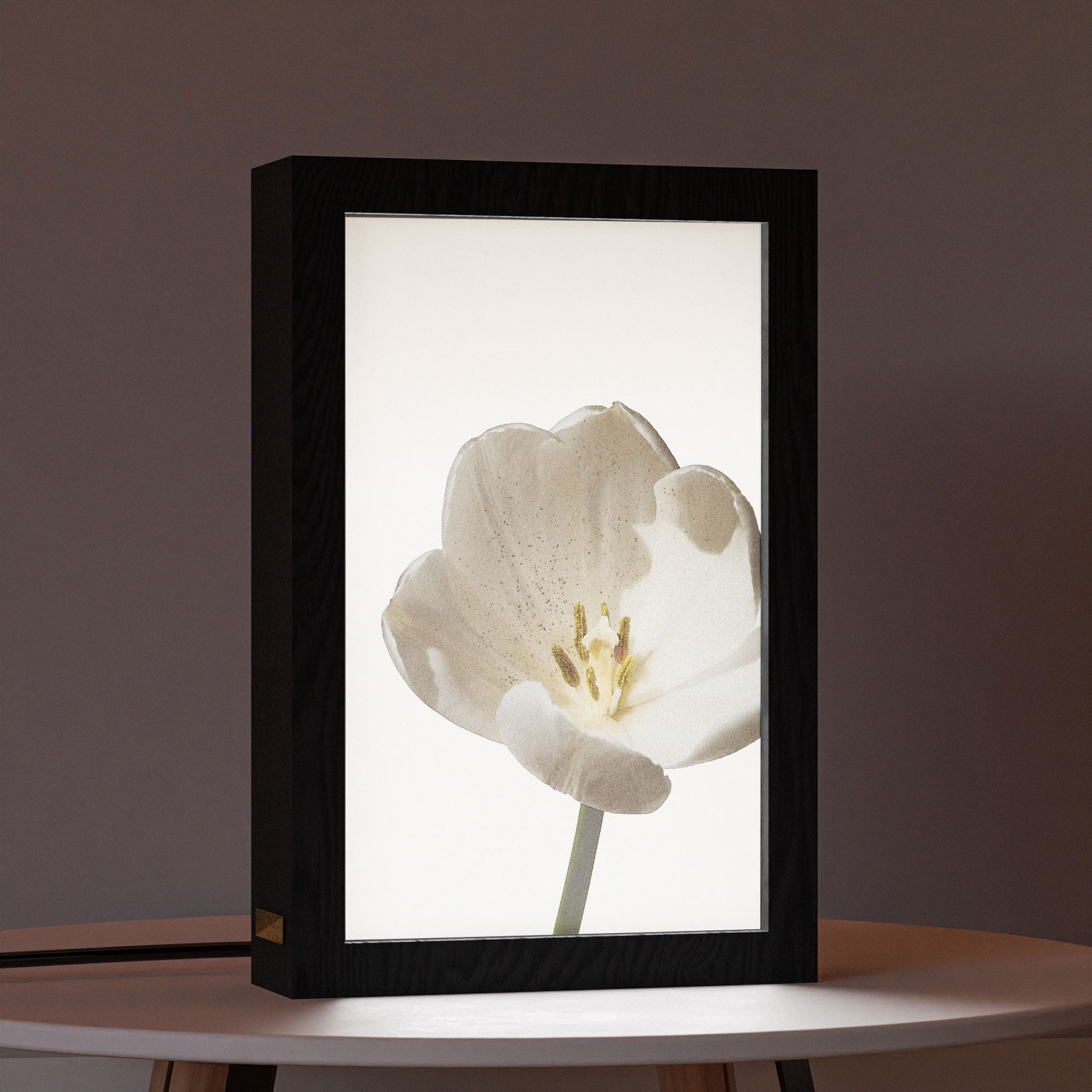 2 in 1 Photo Lighting Frame - Blossom