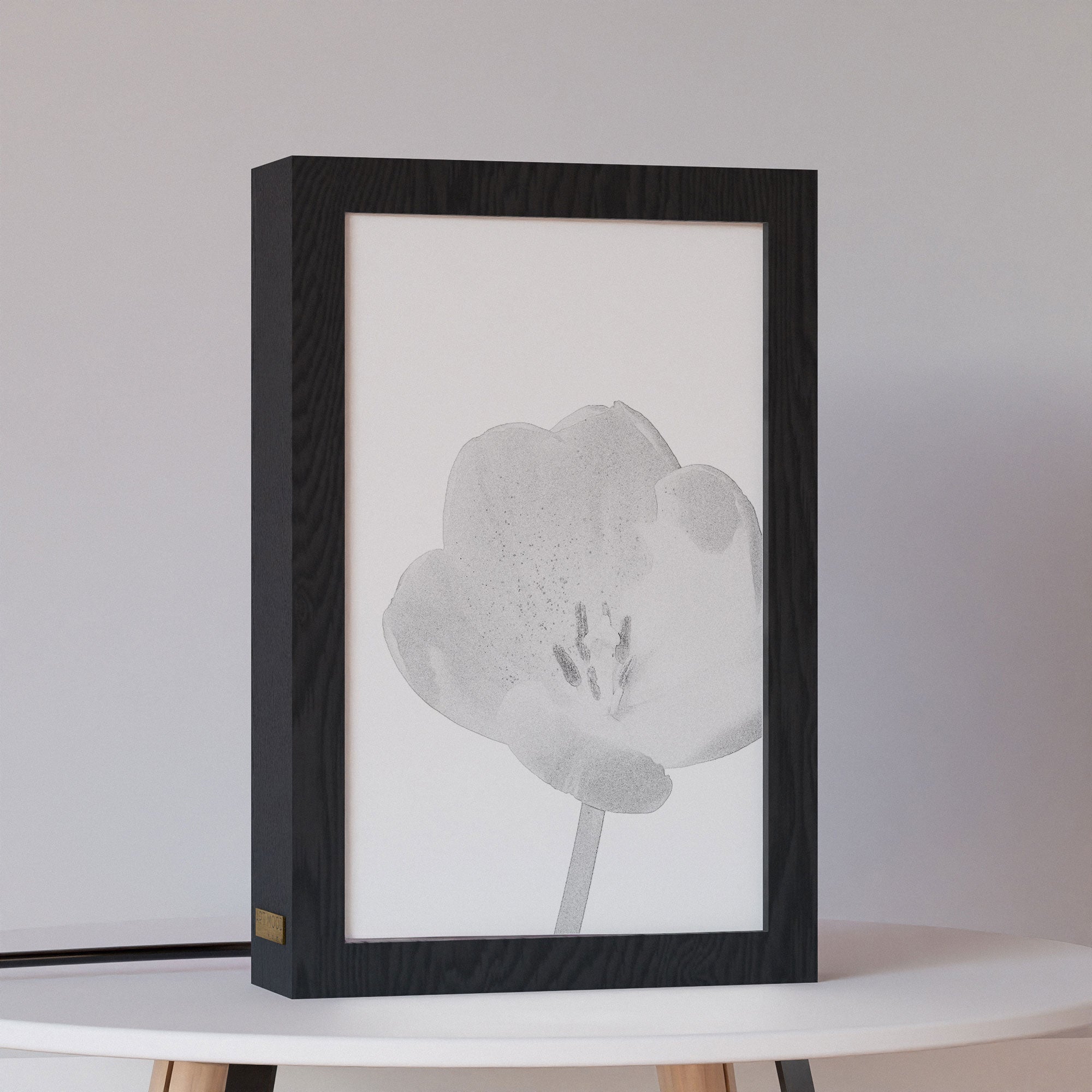 2 in 1 Photo Lighting Frame - Blossom