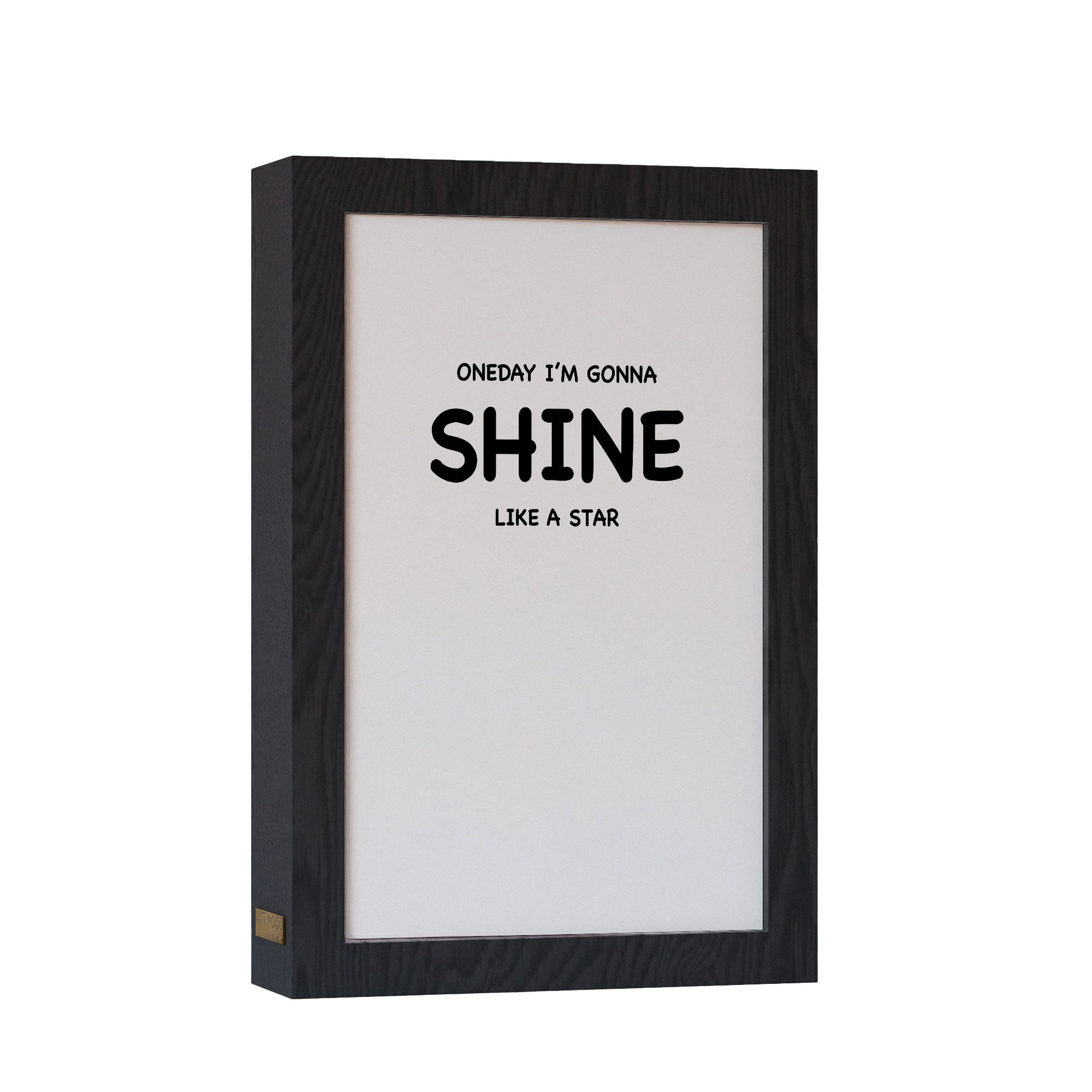 ٢ في ١ - برواز مضئ - شاين