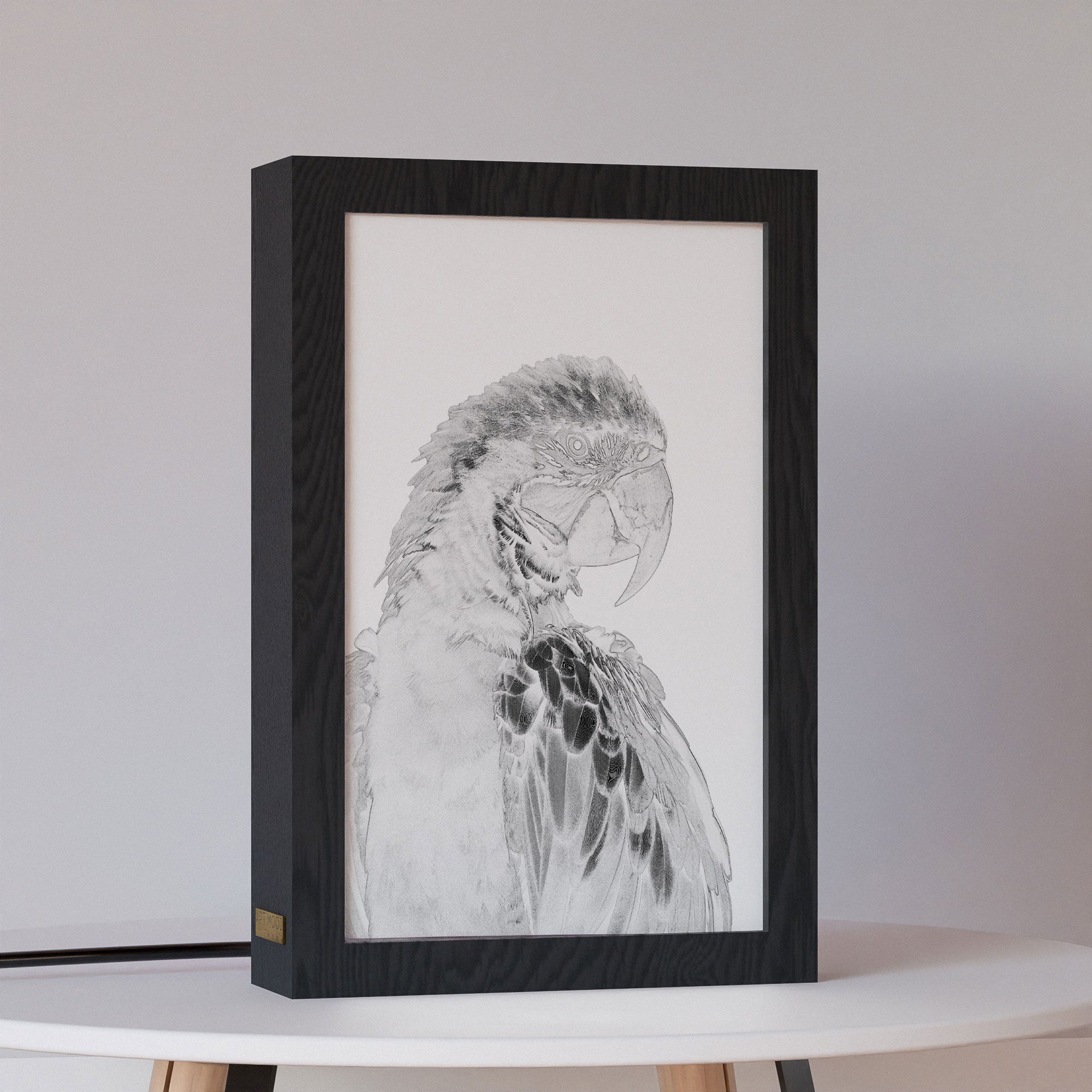 2 in 1 Photo Lighting Frame - Parrot