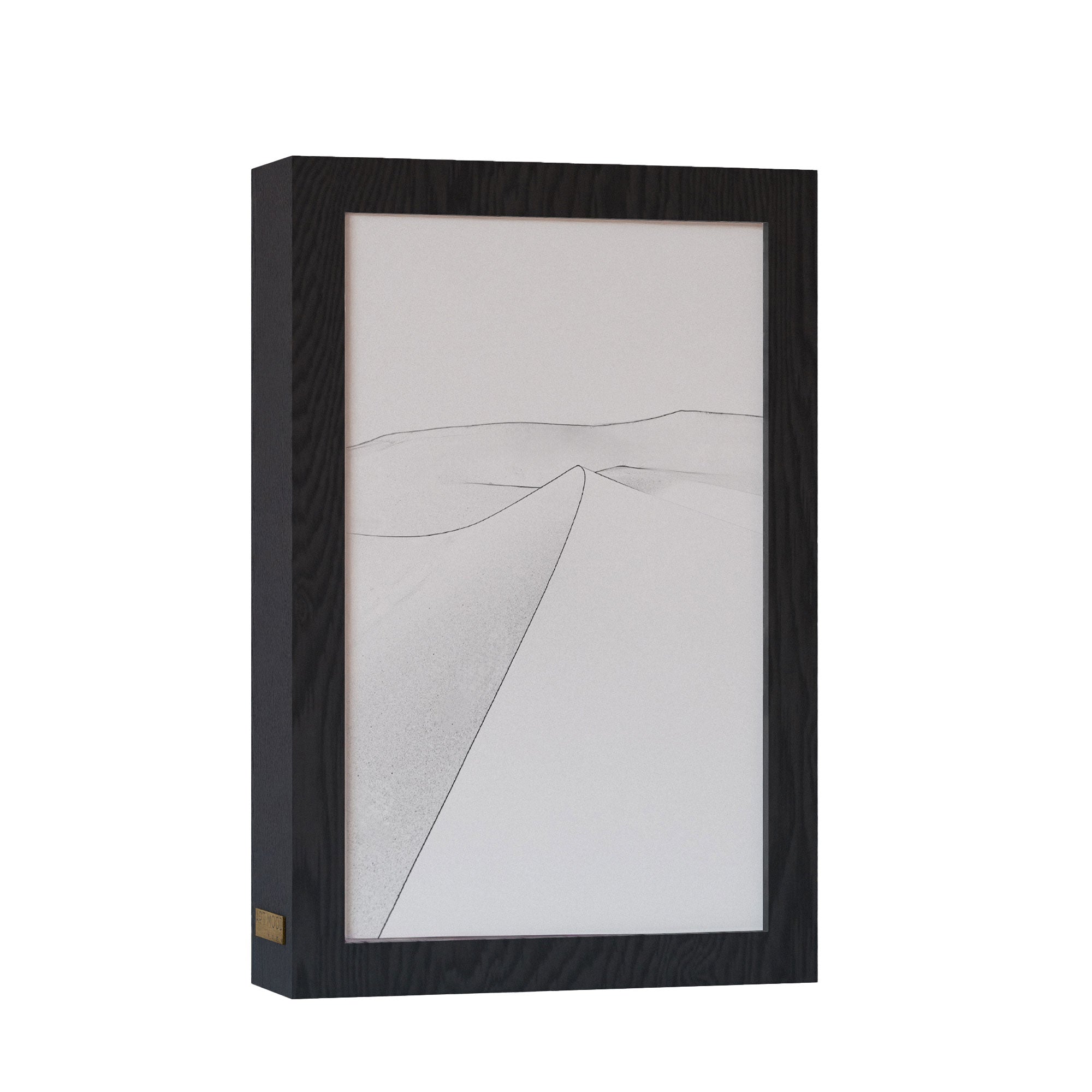 2 in 1 Photo Lighting Frame - Desert