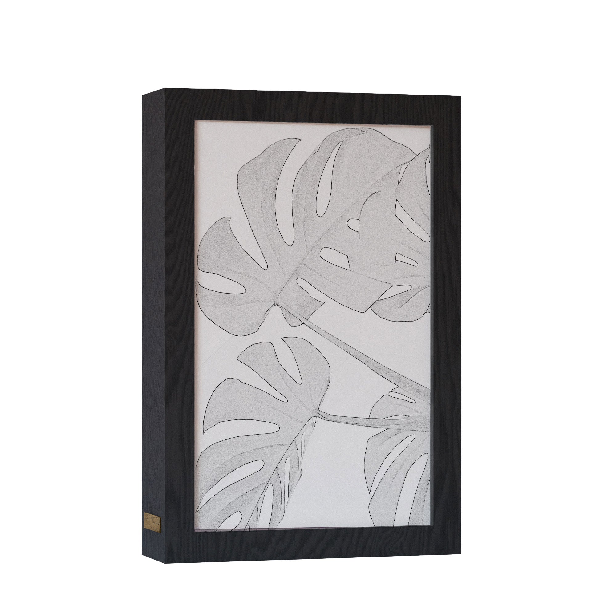 2 in 1 Photo Lighting Frame - Leafs