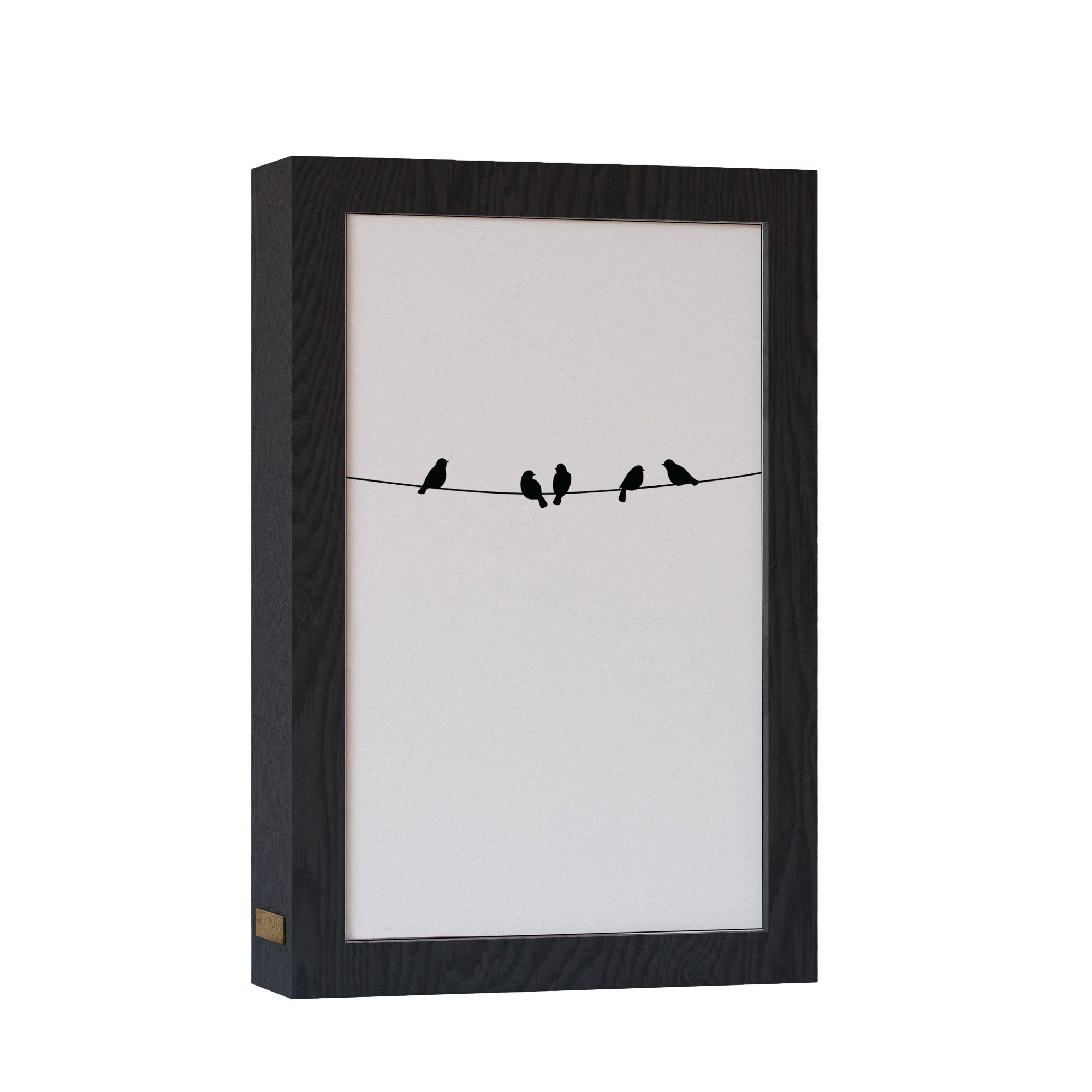 2 in 1 Photo Lighting Frame - Birds on Wire
