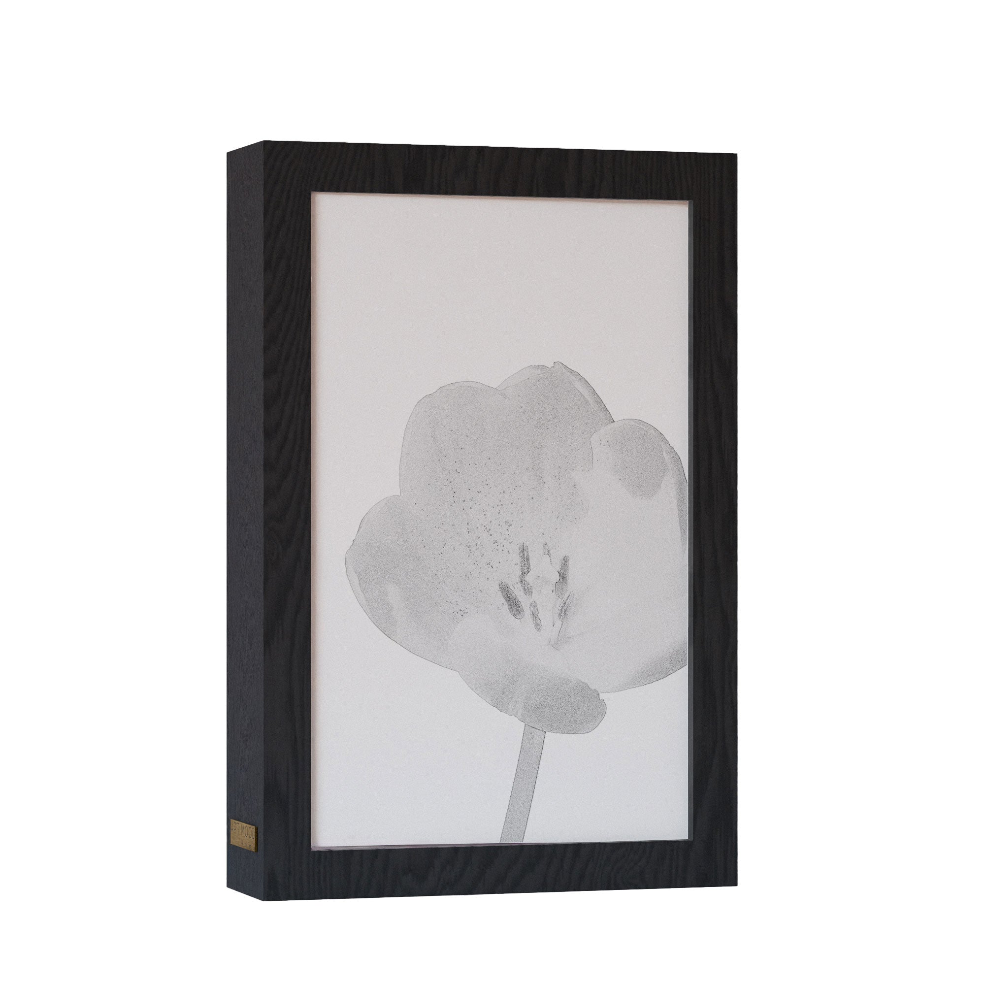 2 in 1 Photo Lighting Frame - Blossom
