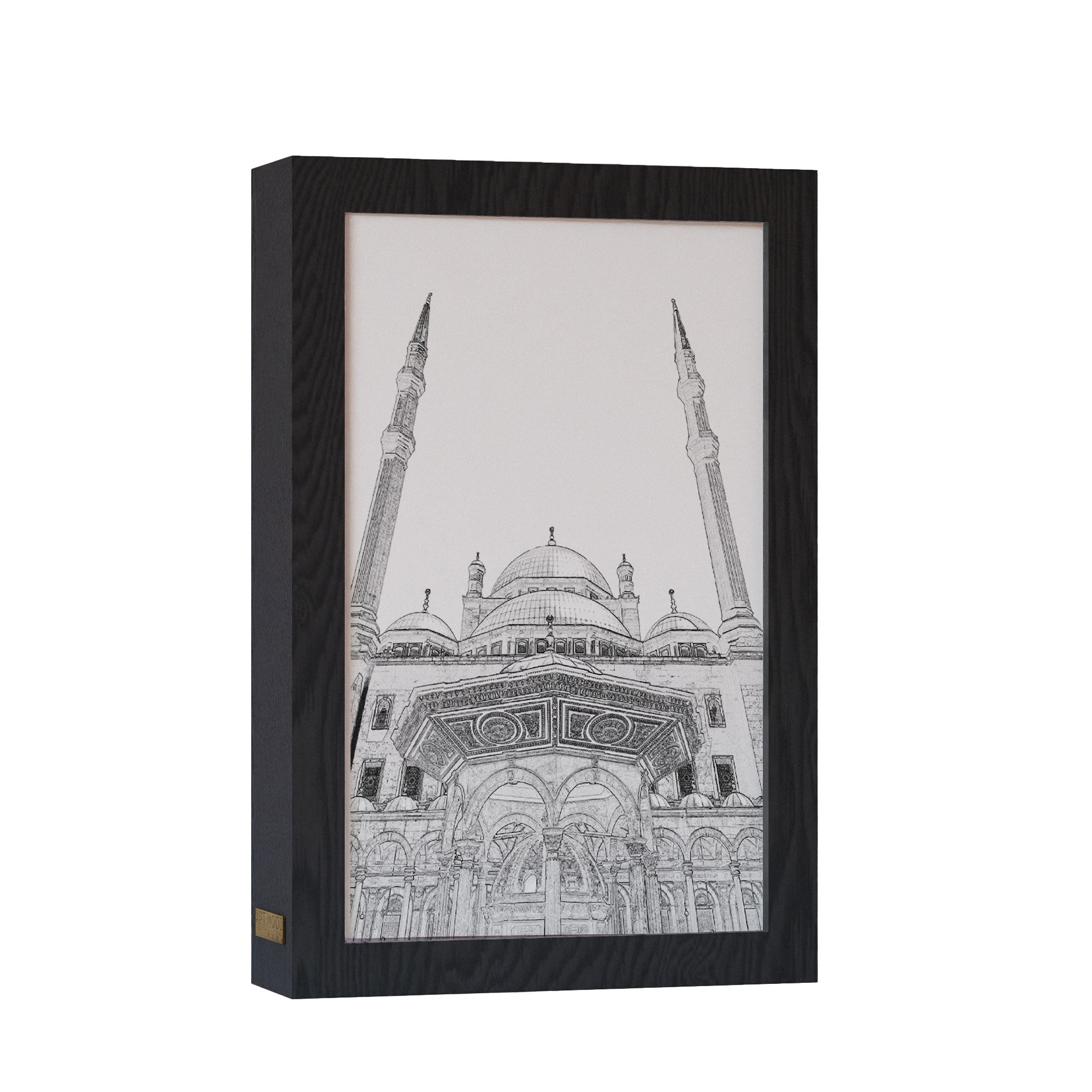 ٢ في ١ - برواز مضئ - مسجد محمد علي