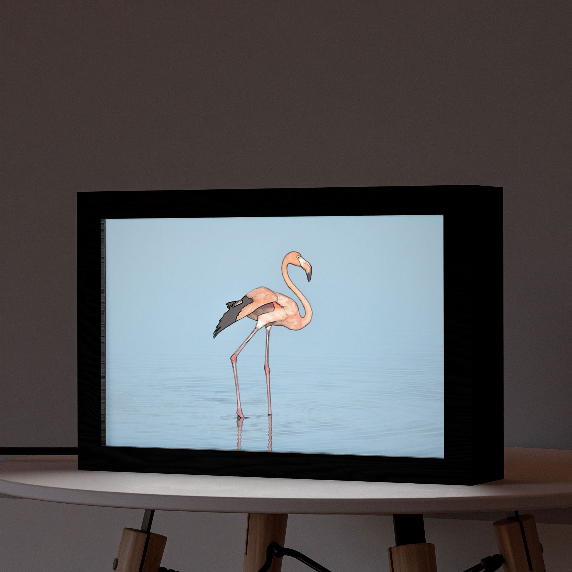 2 in 1 Photo Lighting Frame - Flamingo