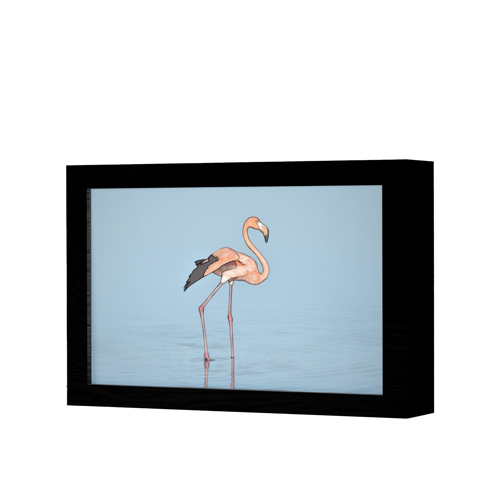 2 in 1 Photo Lighting Frame - Flamingo