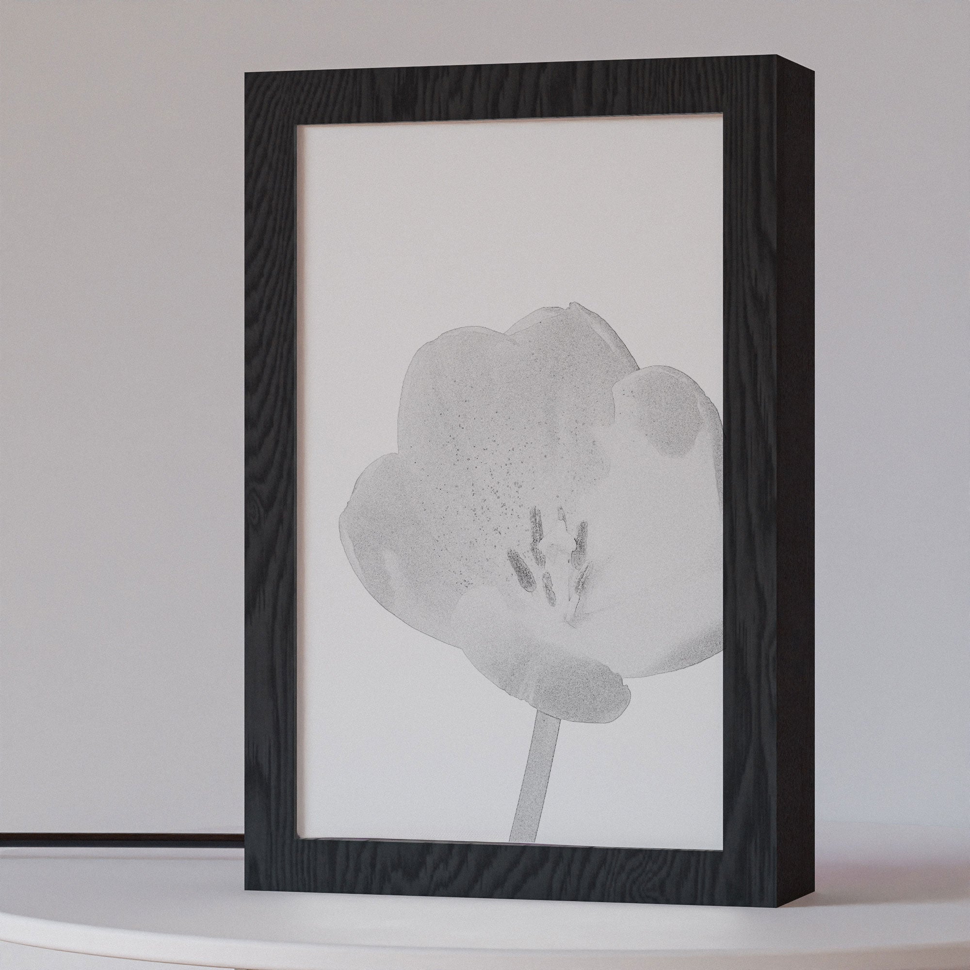 2 in 1 Photo Lighting Frame - Blossom
