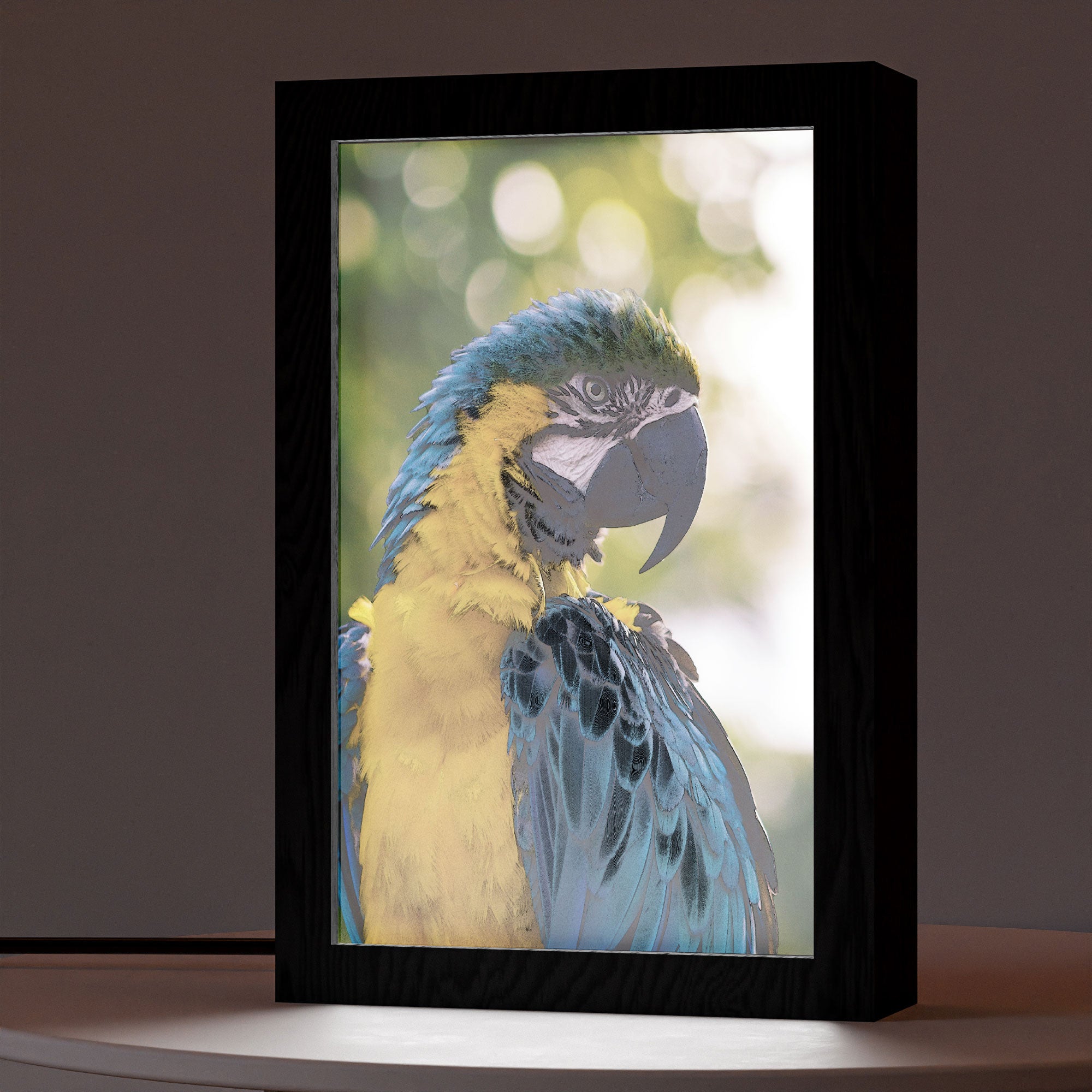 2 in 1 Photo Lighting Frame - Parrot
