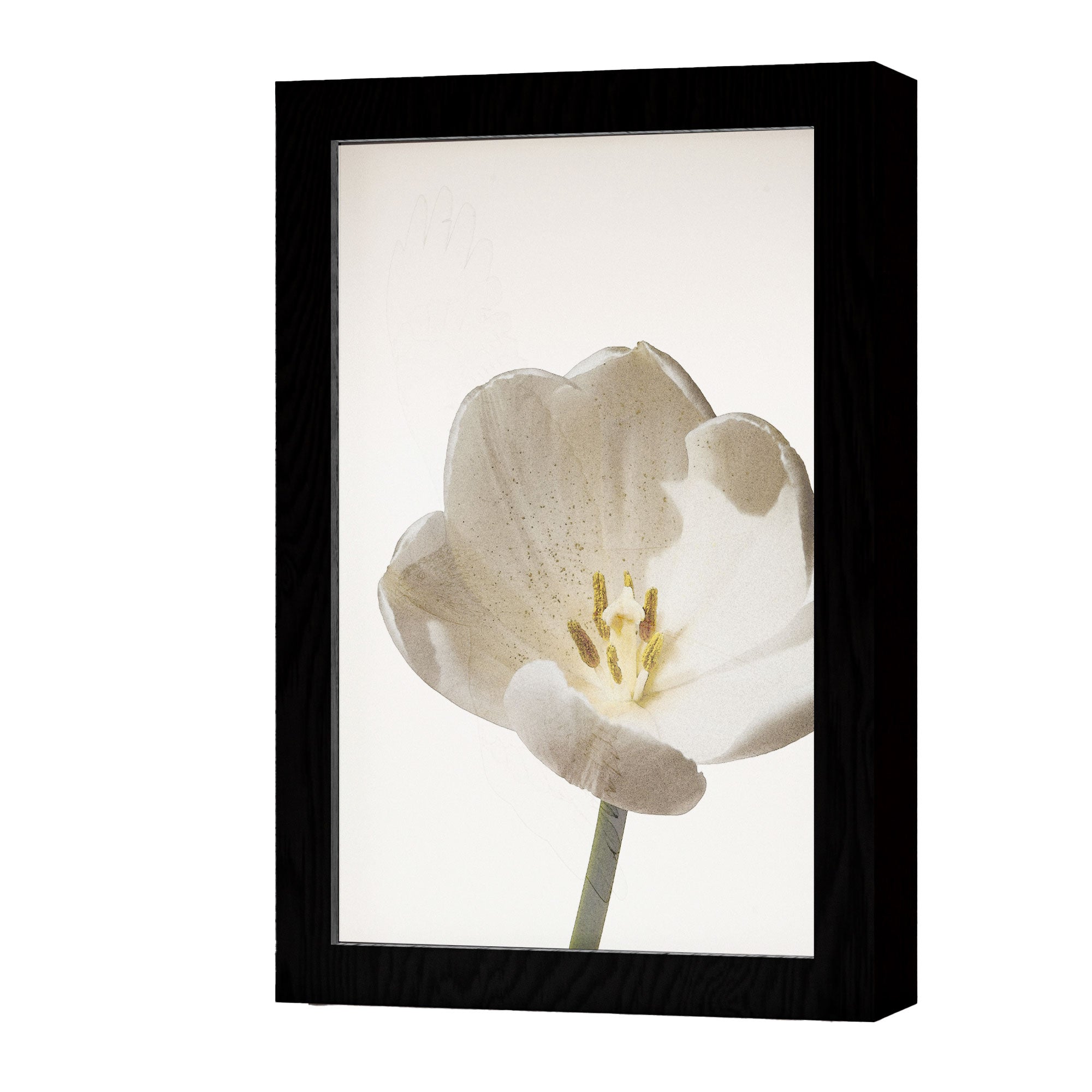 2 in 1 Photo Lighting Frame - Blossom