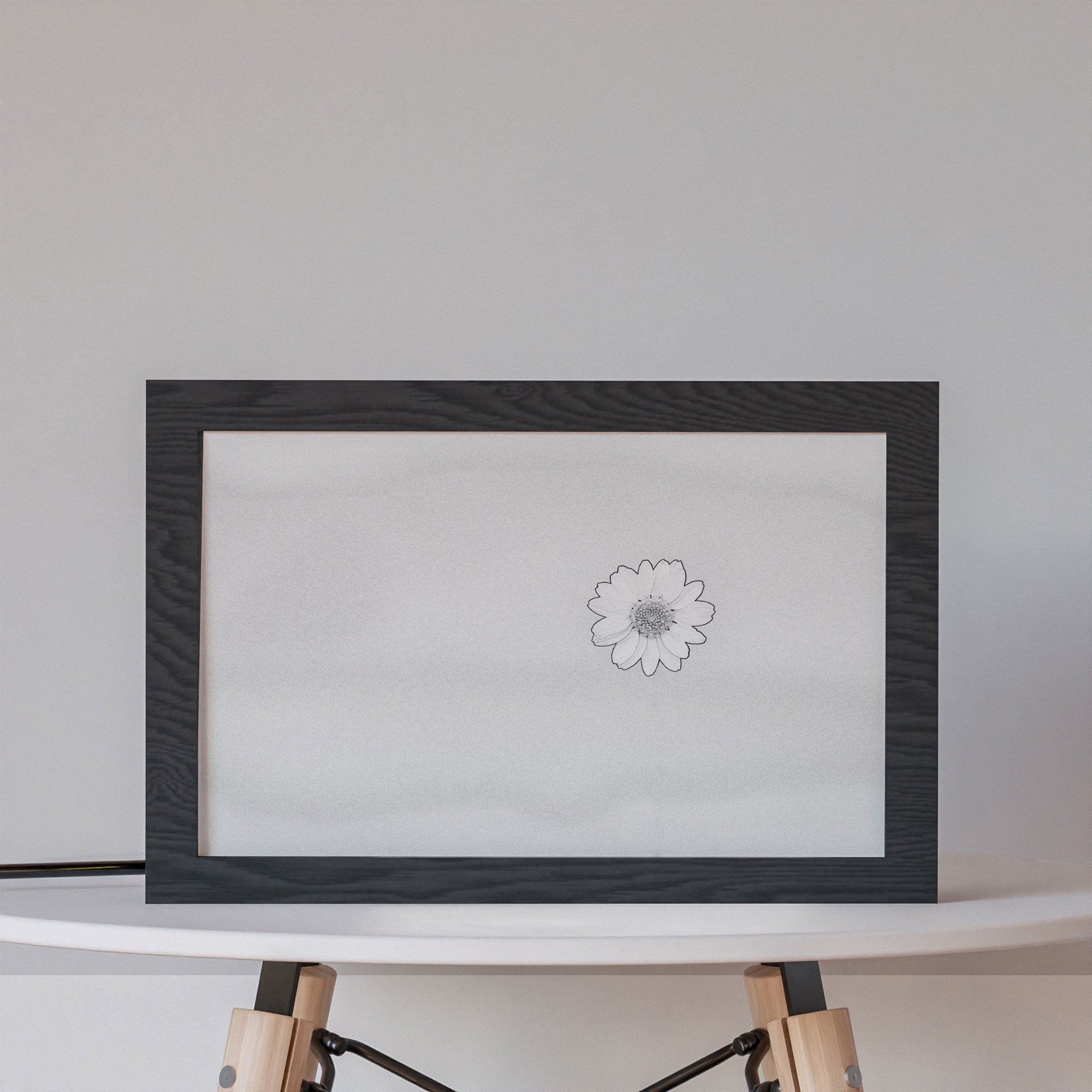 2 in 1 Photo Lighting Frame - Daisy