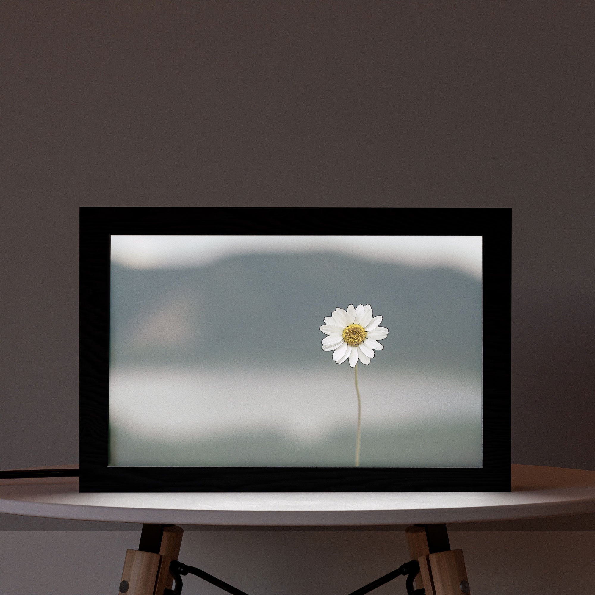 2 in 1 Photo Lighting Frame - Daisy