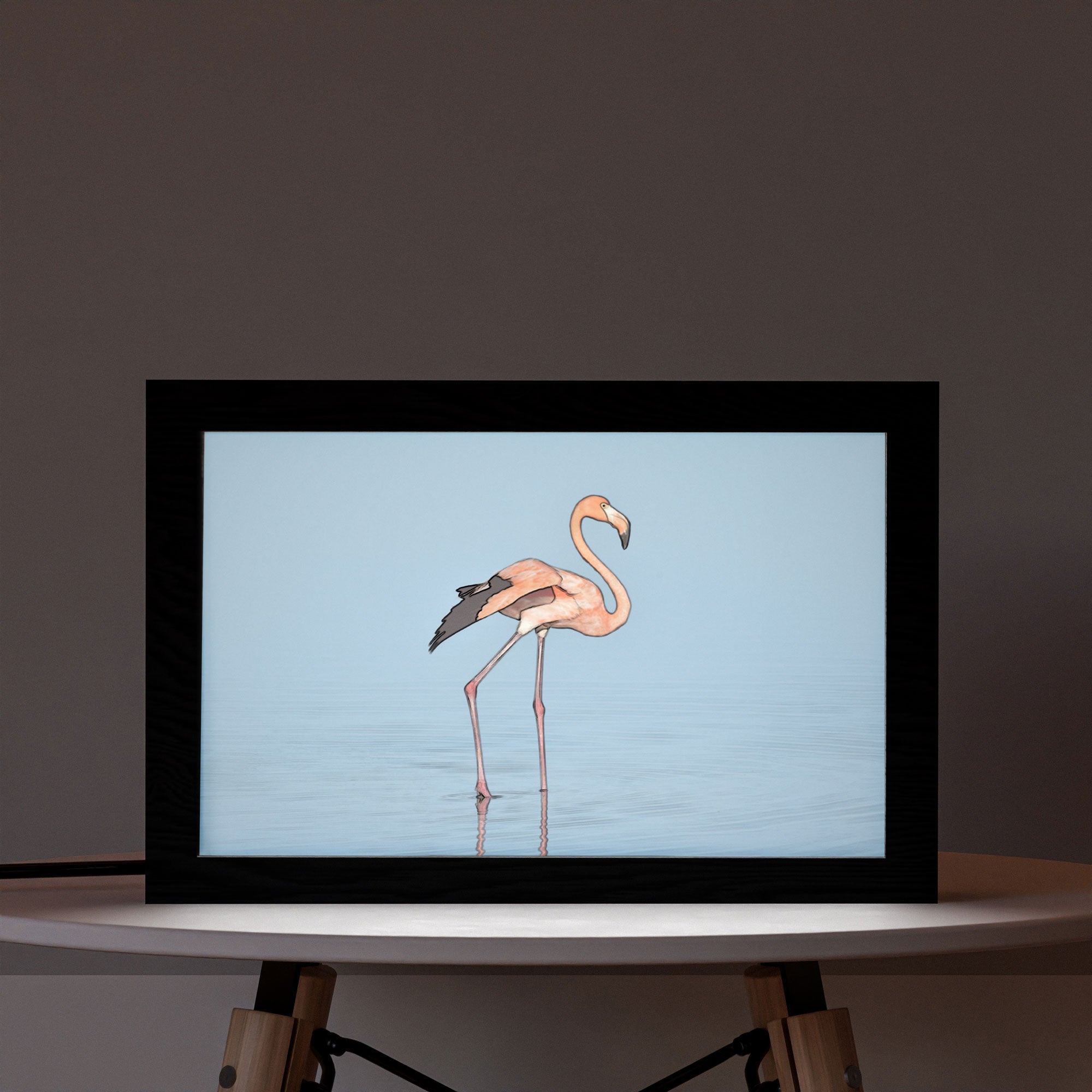 2 in 1 Photo Lighting Frame - Flamingo
