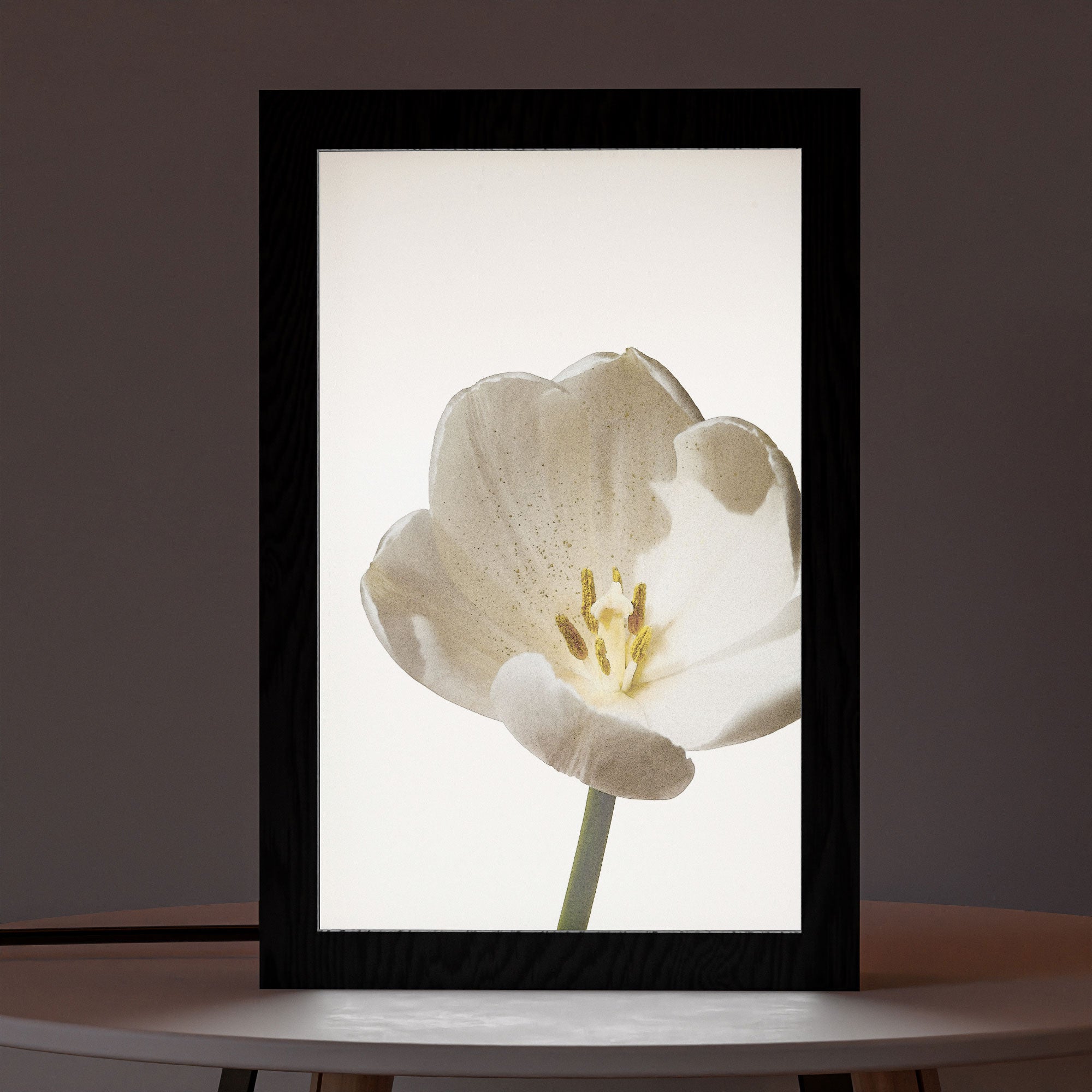 2 in 1 Photo Lighting Frame - Blossom
