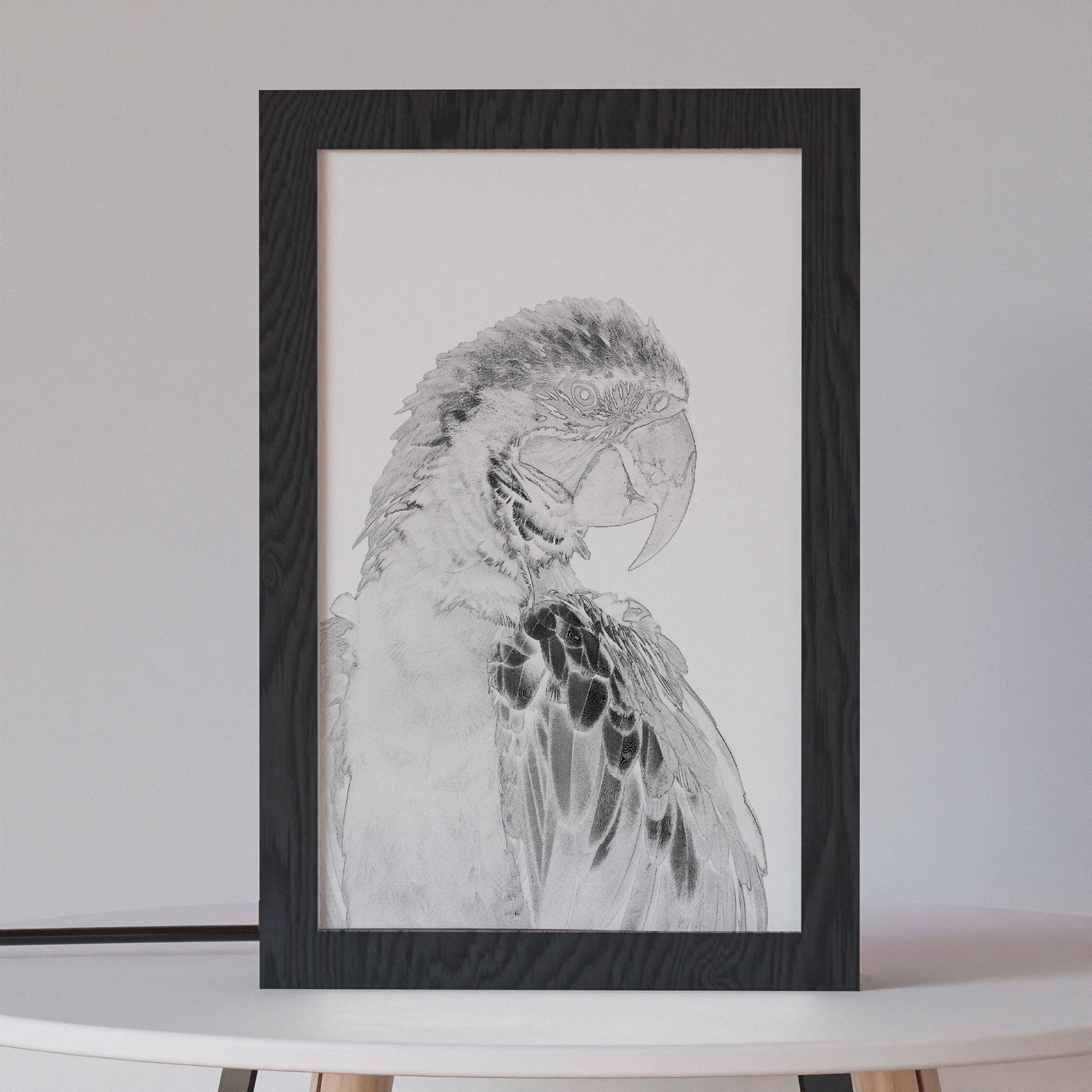 2 in 1 Photo Lighting Frame - Parrot