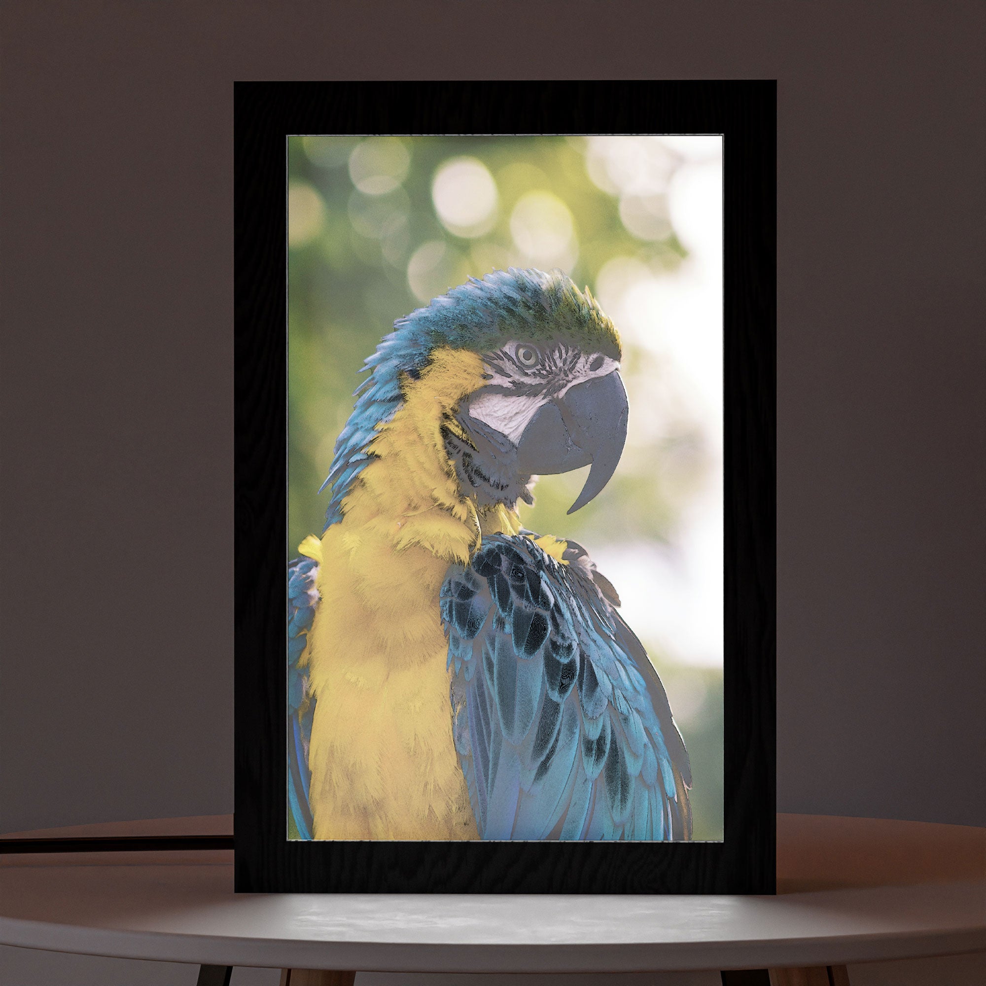 2 in 1 Photo Lighting Frame - Parrot