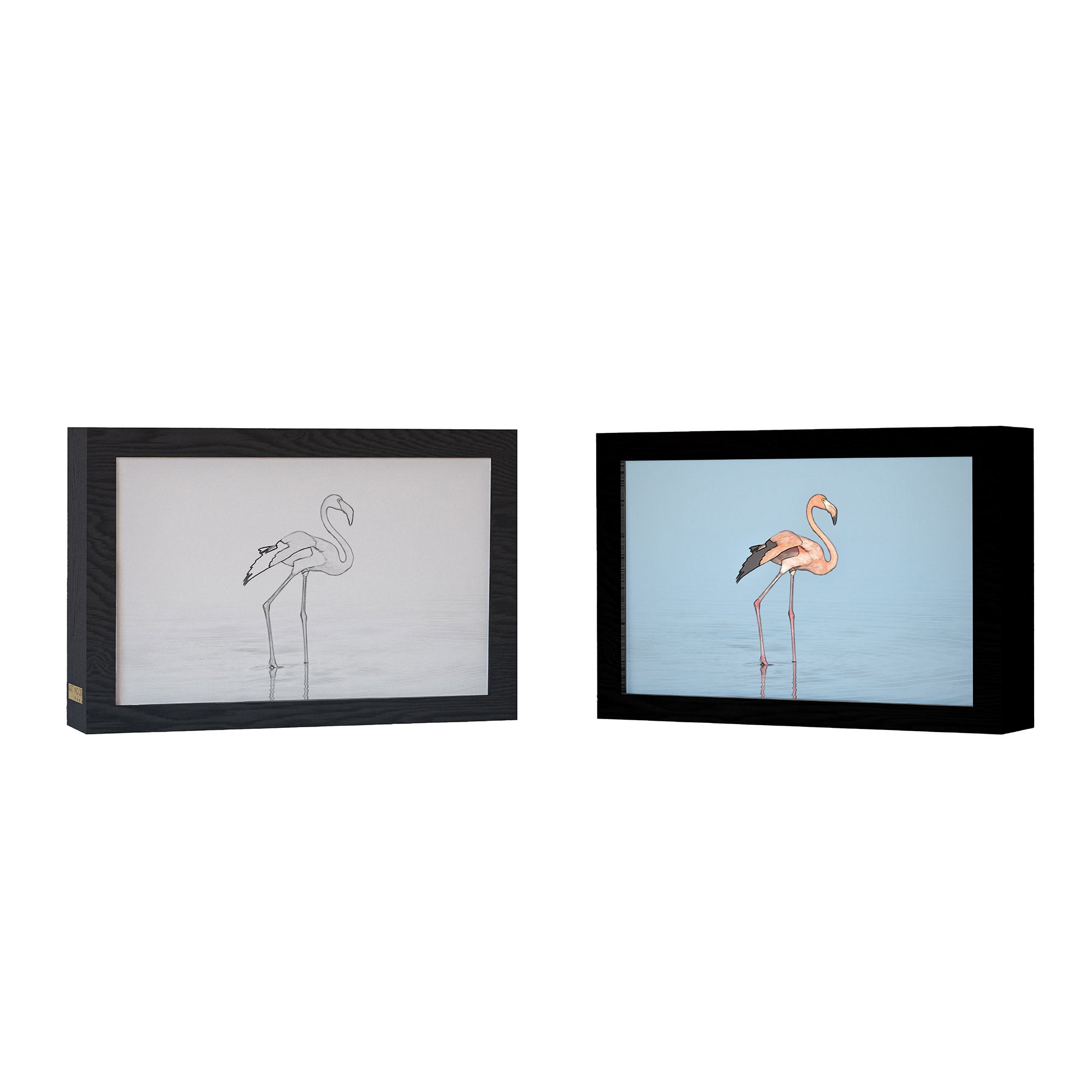 2 in 1 Photo Lighting Frame - Flamingo