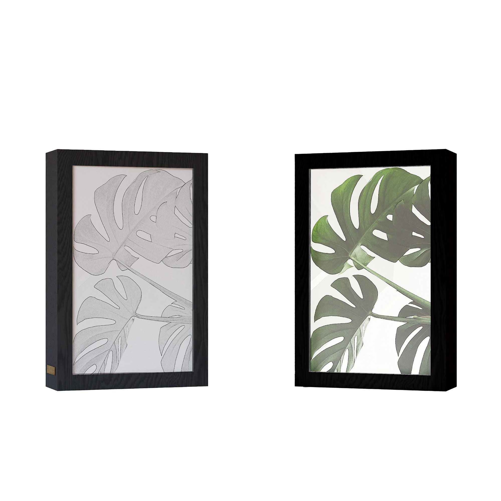 2 in 1 Photo Lighting Frame - Leafs