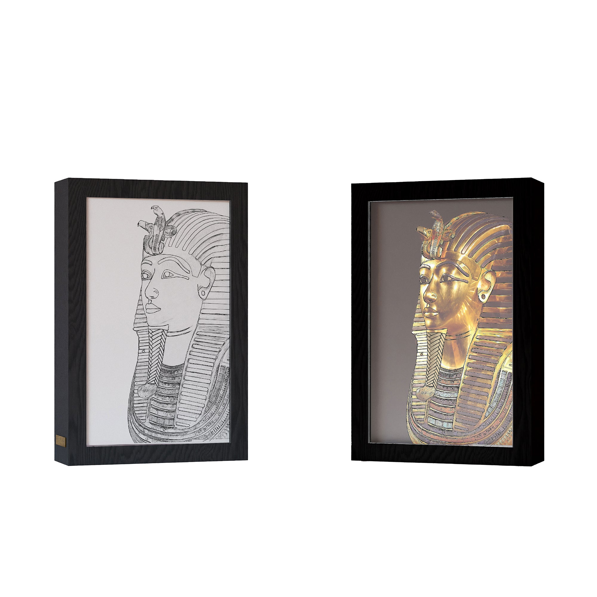 Cadre d'éclairage photo 2 en 1 - King Tut