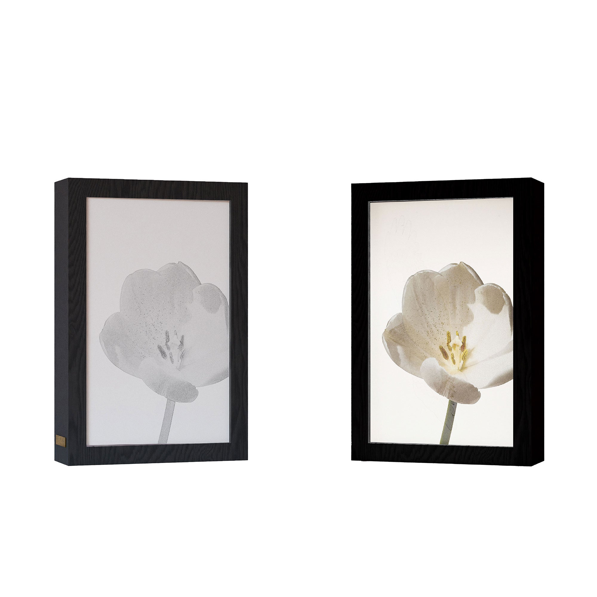 2 in 1 Photo Lighting Frame - Blossom