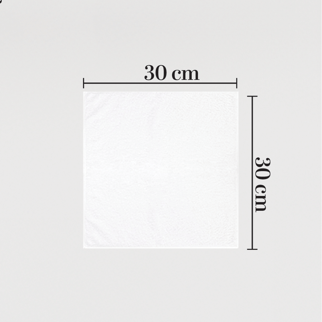 Guest Cotton Towels - Embroidered - White 600GSM - Set of 2