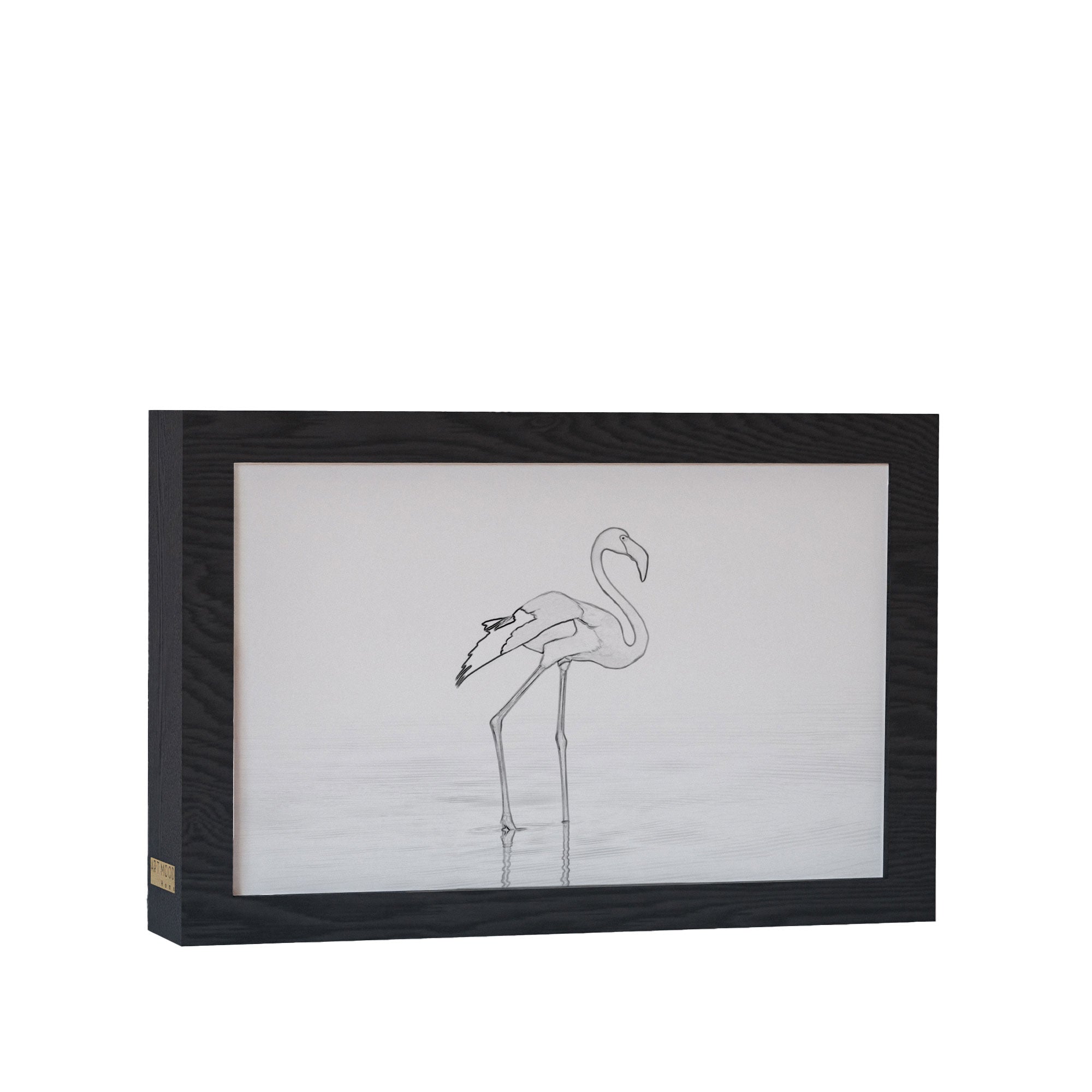 2 in 1 Photo Lighting Frame - Flamingo