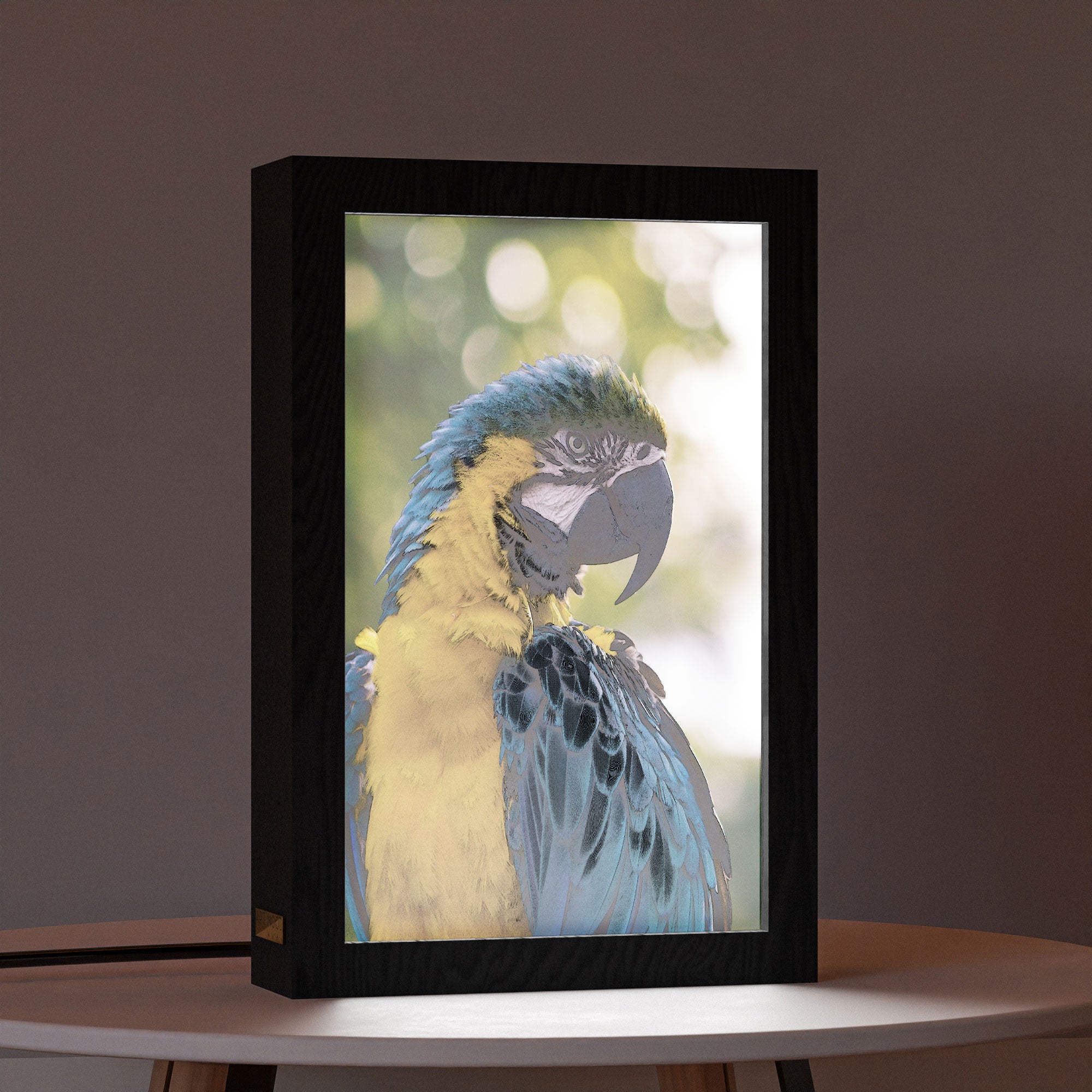 2 in 1 Photo Lighting Frame - Parrot