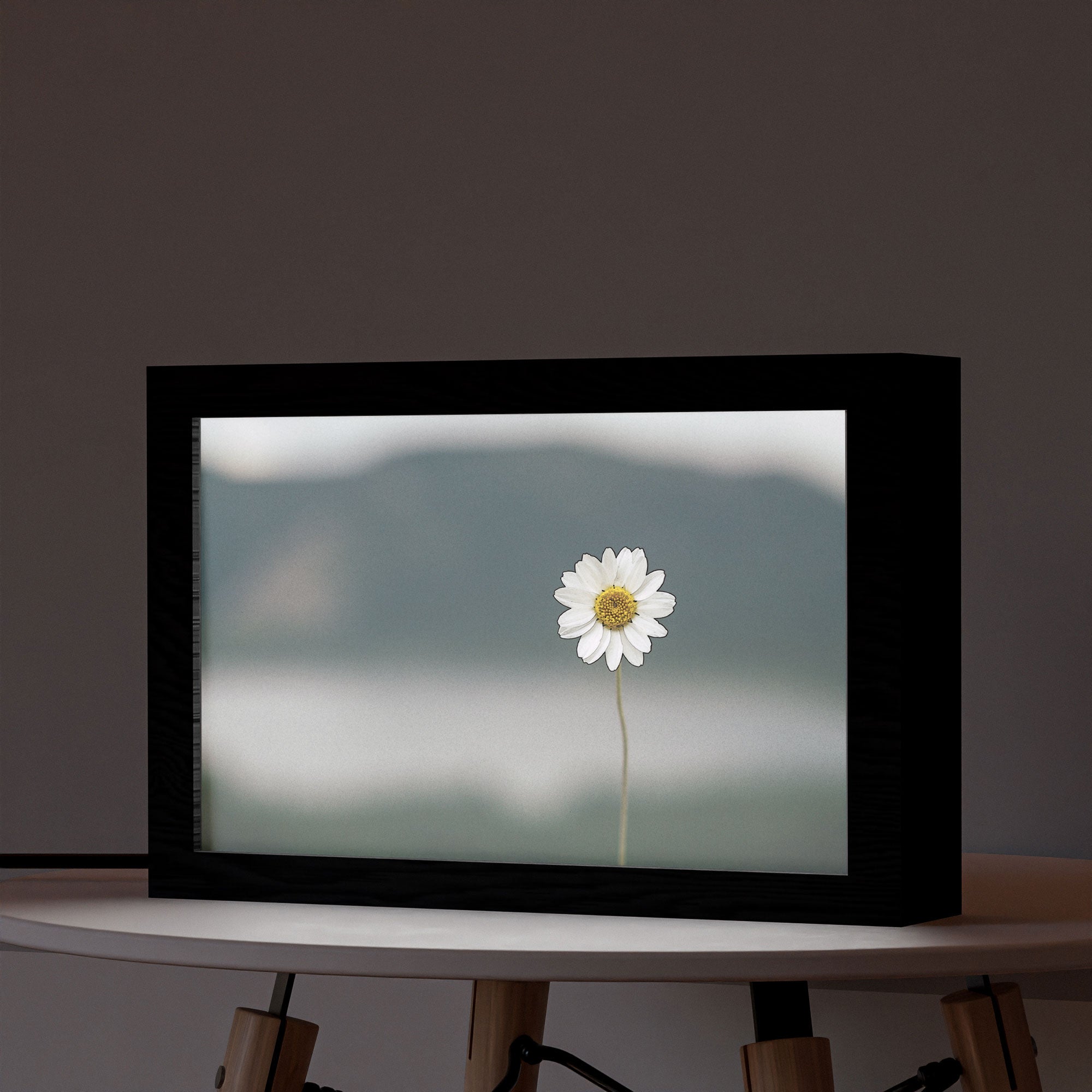 2 in 1 Photo Lighting Frame - Daisy