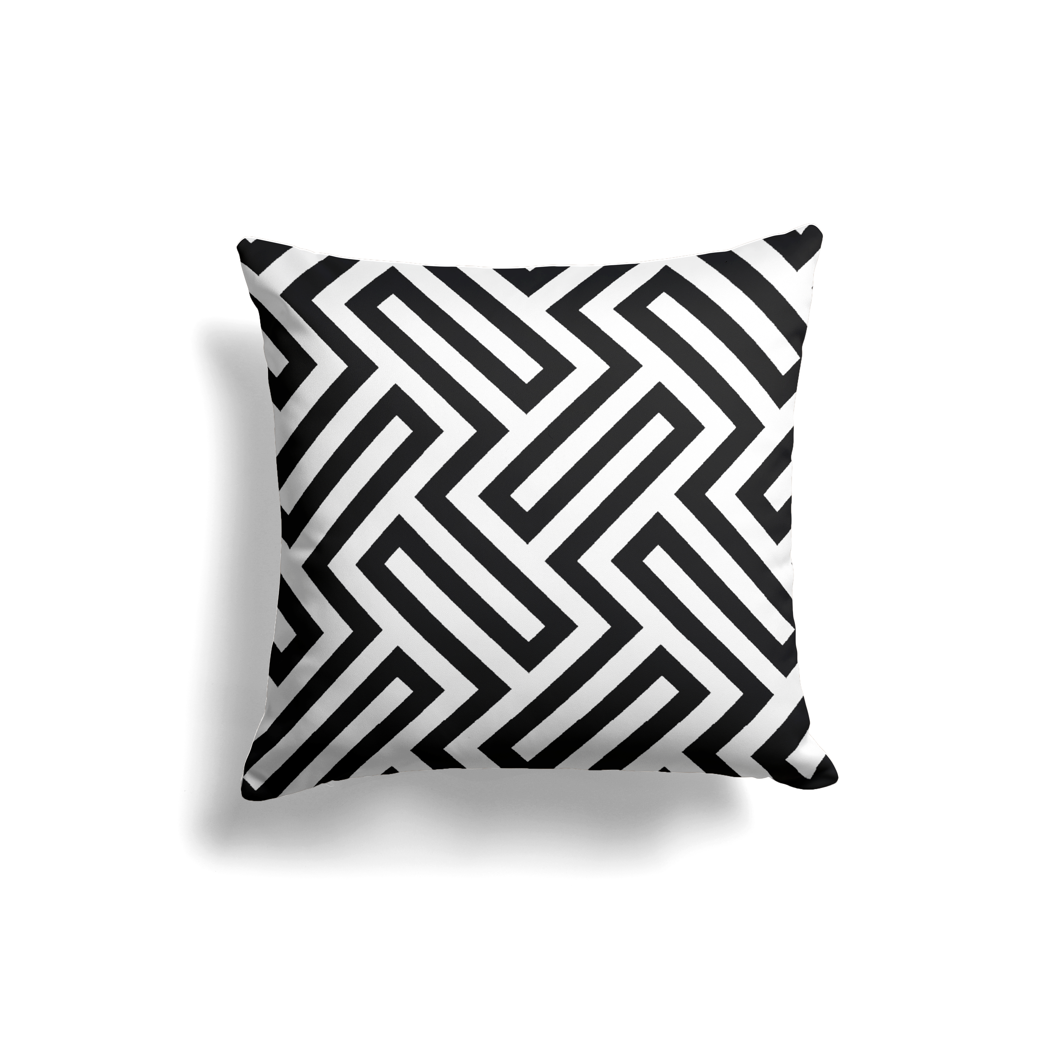 Black & White 5 Cushion