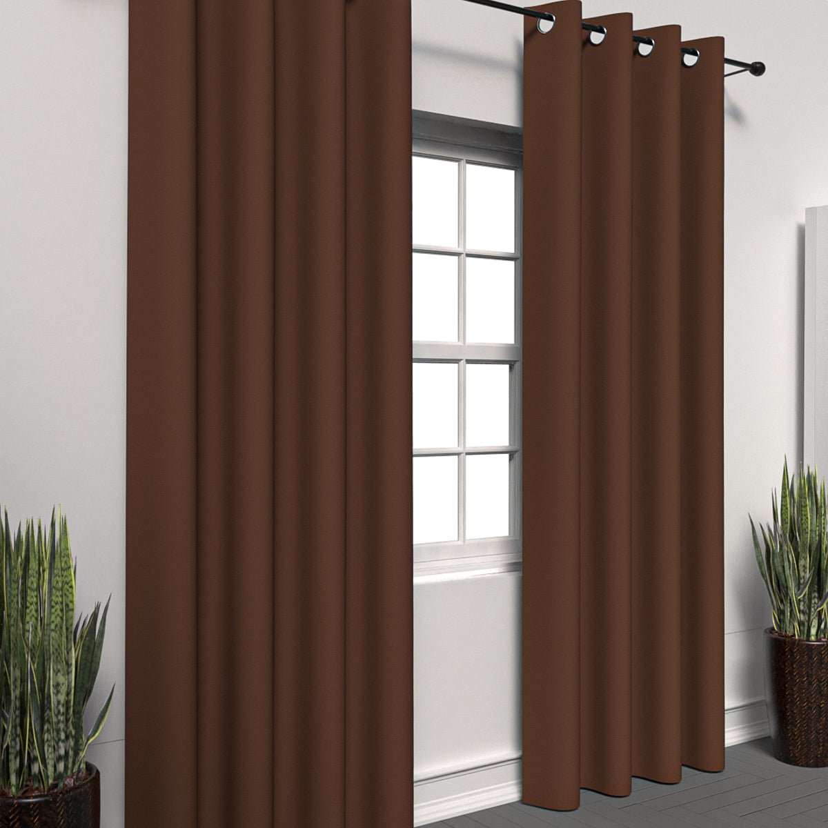 Plain Brown Curtain