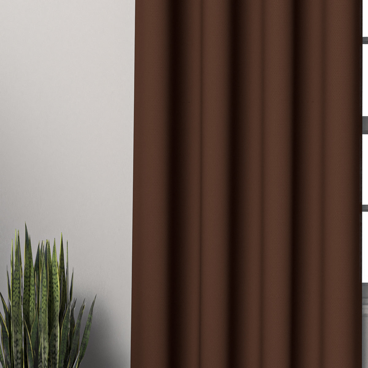 Plain Brown Curtain