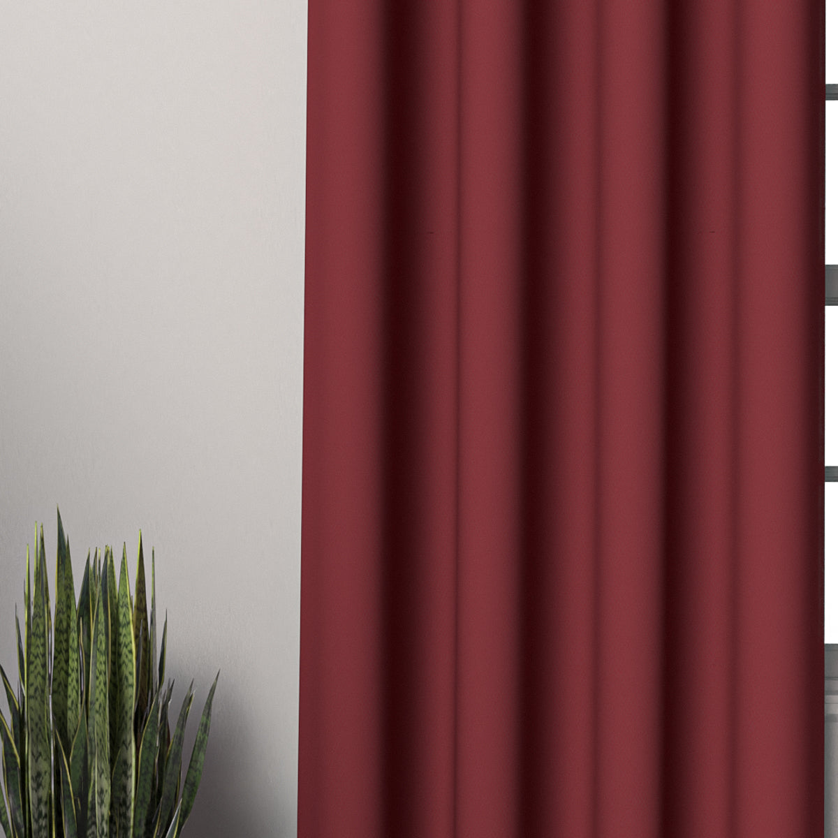 Plain Dark Red Curtain