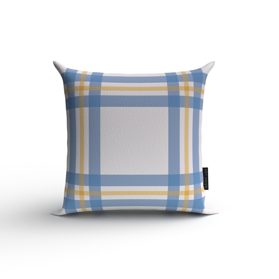 Coussin Ray